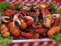 /album/galeria-de-fotos/imagem-063-jpg/